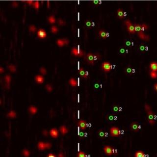 Exploring the structure function relationship of membrane-pore-forming Fibroblast Growth Factor 2 (FGF2) oligomers with single molecule fluorescence microscopy