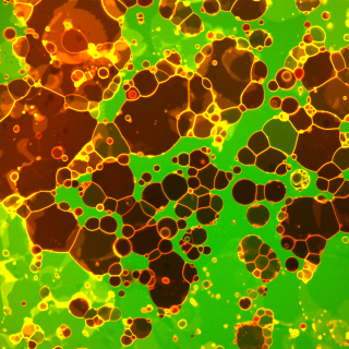 Membrane fusion in drug delivery – mechanistic insights